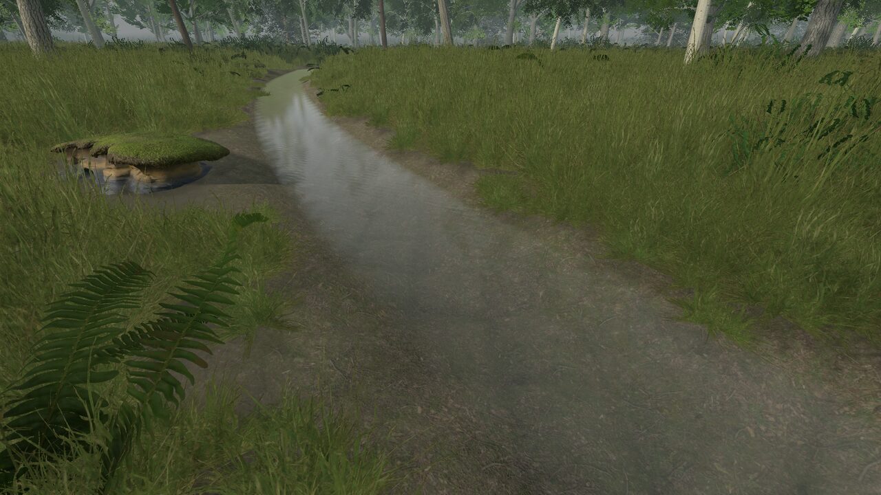 A stream running through tall grass at the forest edge